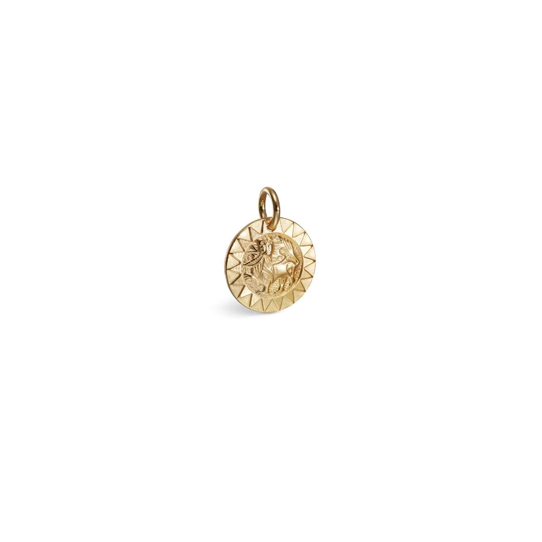 Kalevala Amuletti Aurinkoleijona hela, pronssi