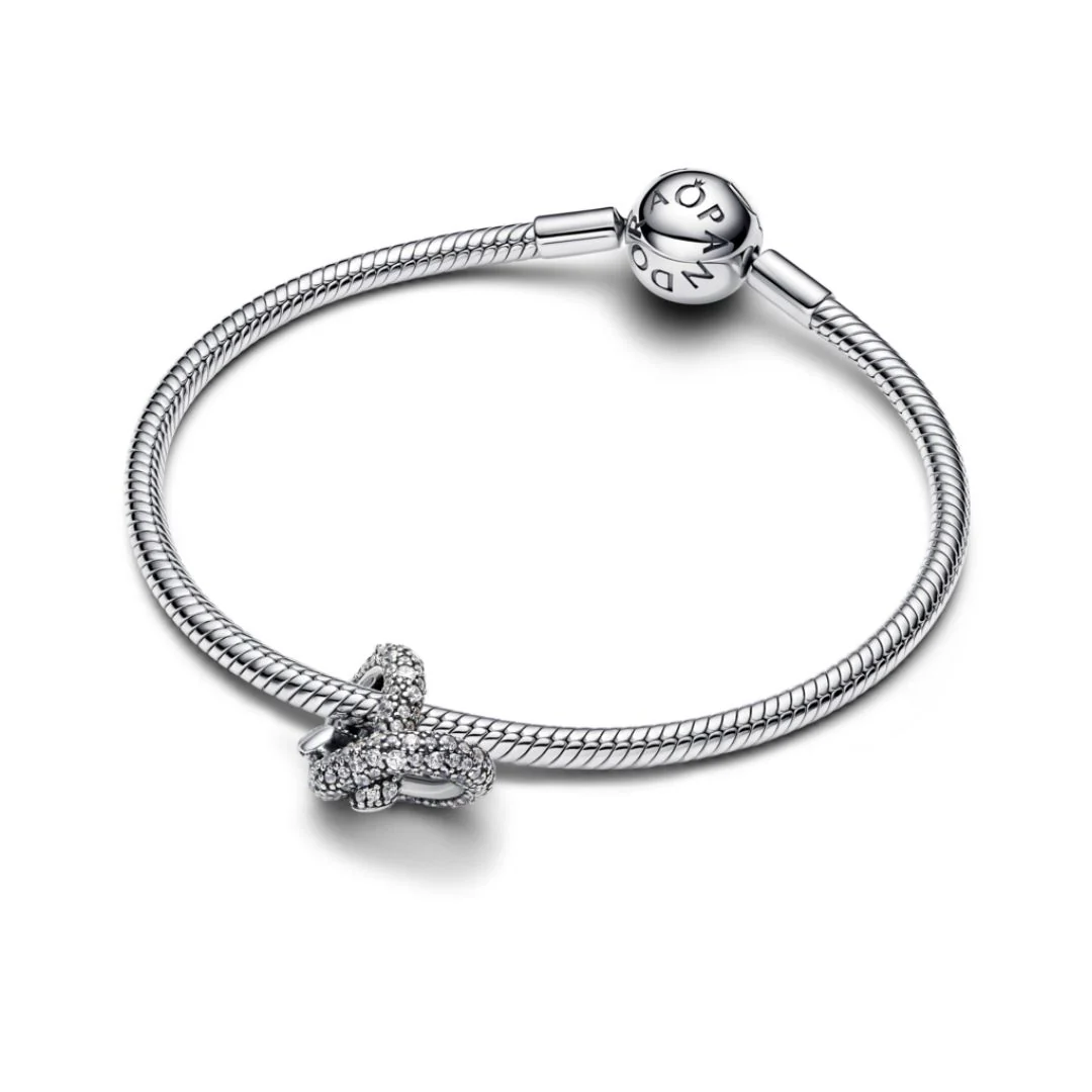 Pandora Moments Infinity Knot hela, hopea, 793771C01 - Image 3