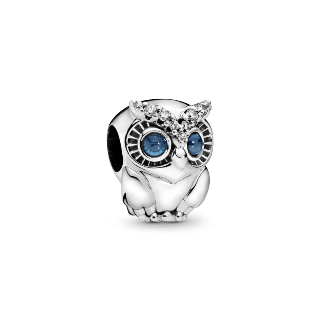 Pandora Moments Sparkling Owl hela, hopea, 798397NBCB