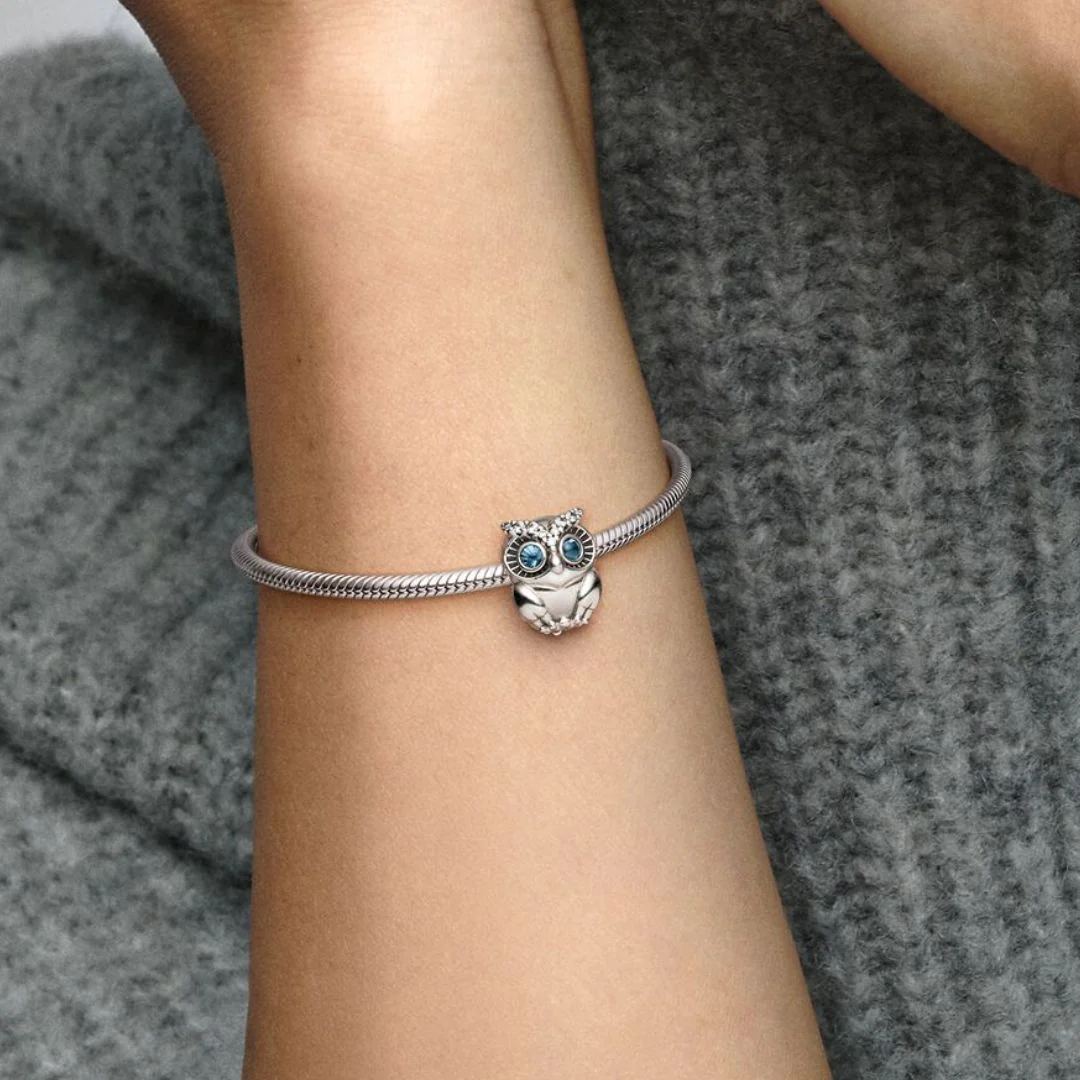 Pandora Moments Sparkling Owl hela, hopea, 798397NBCB - Image 3