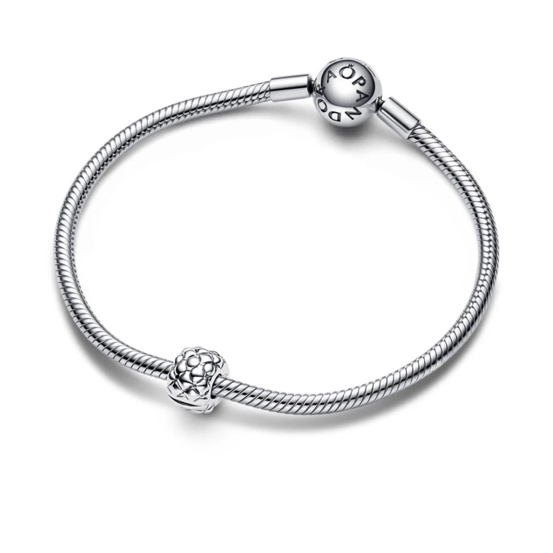 Pandora Moments Studded lukkopala, hopea, 792746C00 - Image 3