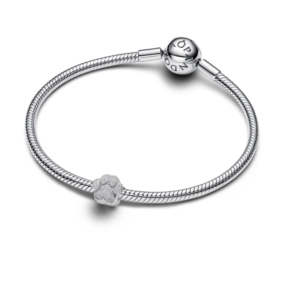 Pandora Moments Textured Paw mini hela, hopea, 794043C00 - Image 3
